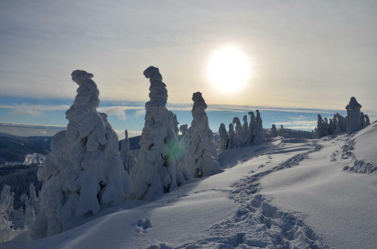 Chata Jiriho Na Seraku Bela pod Pradedem Esterno foto